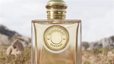 We Tried Burberry Goddess Eau De Parfum & It's Not .